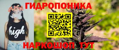 Альфа ПВП Можга