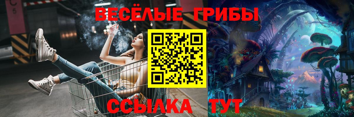 дарнет шоп  Галлюциногенные грибы Magic Shrooms  Вход с VPN  Тара 