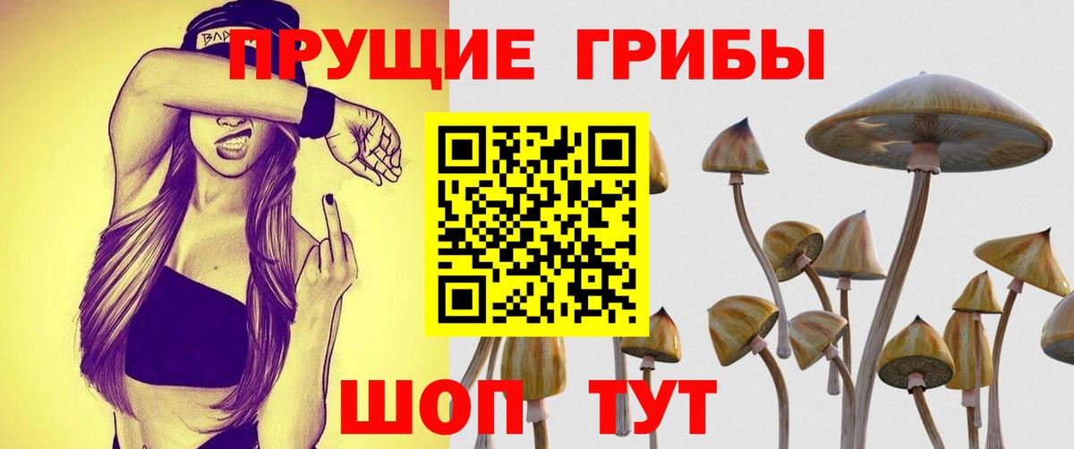 Псилоцибиновые грибы прущие грибы Тара